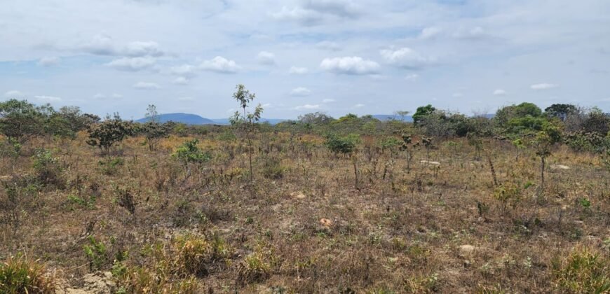 Chácara 4 ha – 13 km de Alto Paraíso sentido São Jorge