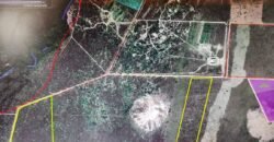 Área 4.7ha – Fazenda São Bento – Margem GO 239 – 7 km de Alto Paraíso sentido São Jorge