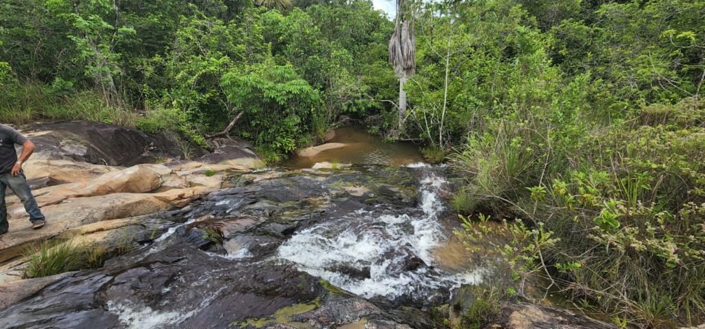 Fazenda 76 ha – Cachoeira – 12km Teresina de Goiás – Chapada dos Veadeiros