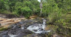 Fazenda 76 ha – Cachoeira – 12km Teresina de Goiás – Chapada dos Veadeiros