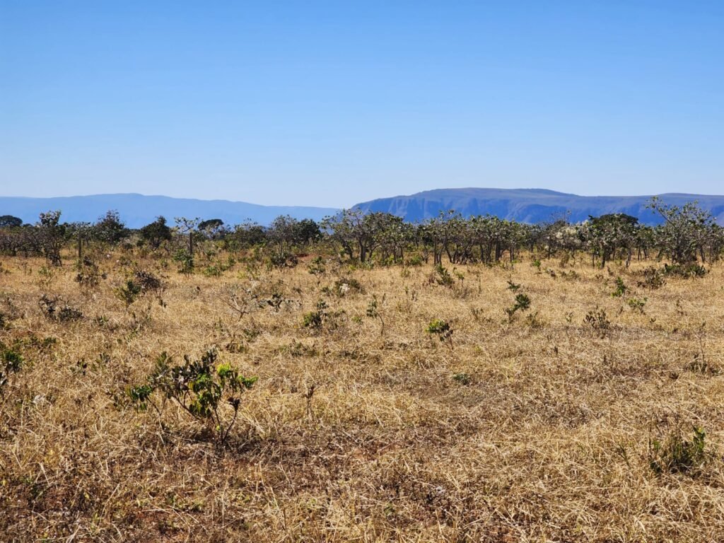 Chácara 4ha – Poço artesiano – 5km de Alto Paraíso sentido Cachoeira dos Cristais – Chapada dos Veadeiros