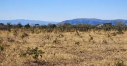 Chácara 4ha – Poço artesiano – 5km de Alto Paraíso sentido Cachoeira dos Cristais – Chapada dos Veadeiros