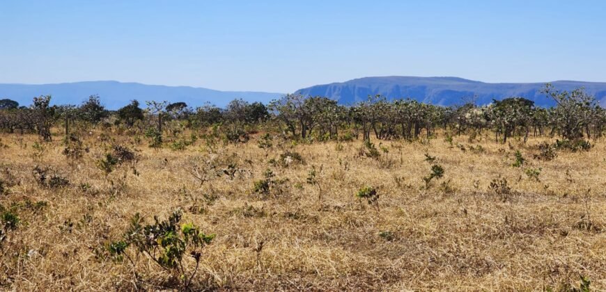 Chácara 4ha – Poço artesiano – 5km de Alto Paraíso sentido Cachoeira dos Cristais – Chapada dos Veadeiros