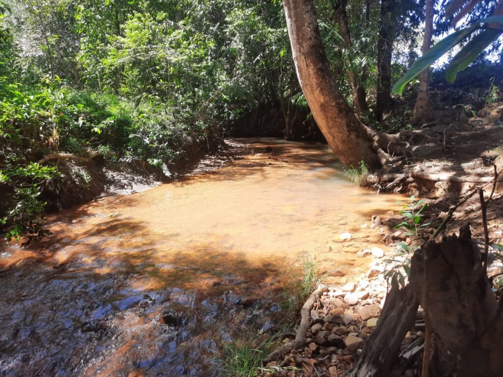 Chácara 2.7 Alq. – Povoado Bandeira – Rio – Nascente – 24km de Alto Paraíso de Goiás