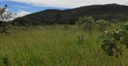 Área 4.7ha – Fazenda São Bento – Margem GO 239 – 7 km de Alto Paraíso sentido São Jorge