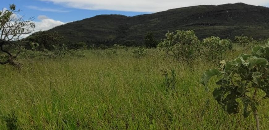 Área 4.7ha – Fazenda São Bento – Margem GO 239 – 7 km de Alto Paraíso sentido São Jorge
