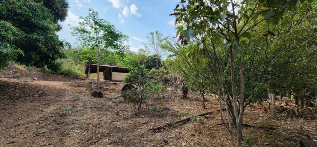 Chácara 11ha Beira Rio São Miguel – 17km de São Jorge – Chapada dos Veadeiros