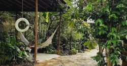 Casa – Rua da Palha – Centro – Alto Paráiso de Goiás