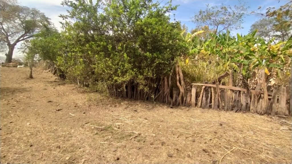 Fazenda 51ha – Beira Rio – Sertão – Alto Paraíso de Goiás