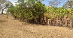 Fazenda 51ha – Beira Rio – Sertão – Alto Paraíso de Goiás