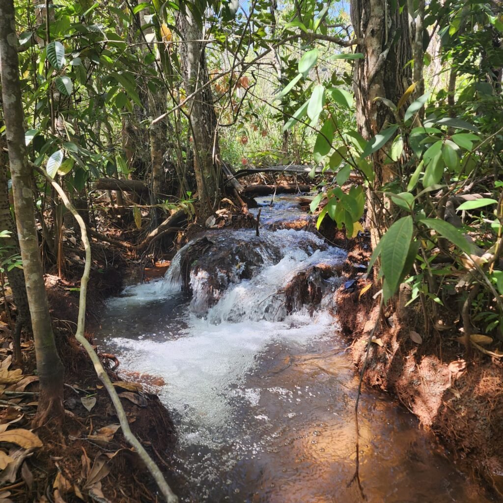 Fazenda 100ha- Rio – Casa Sede – 13km de Alto Paraíso e 1km de Terra