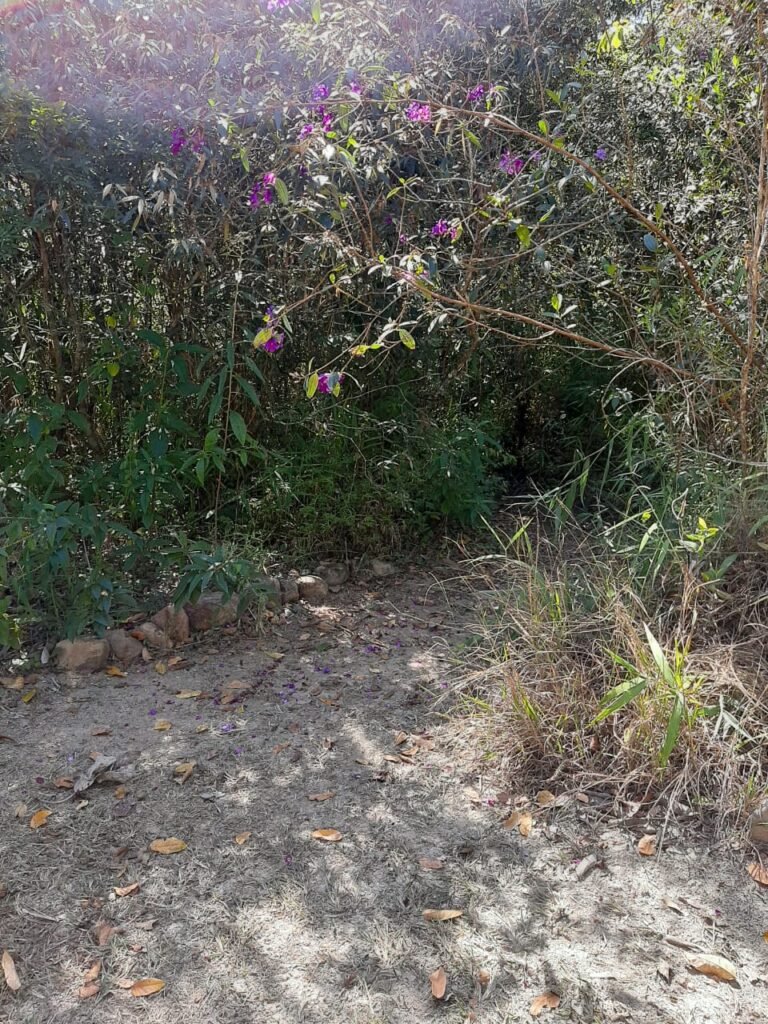 Casa – Rio – Loquinhas – Alto Paraíso de Goiás