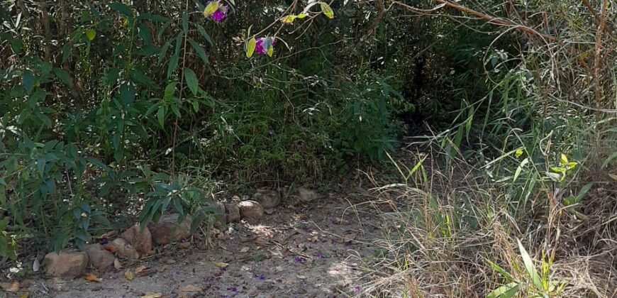 Casa – Rio – Loquinhas – Alto Paraíso de Goiás