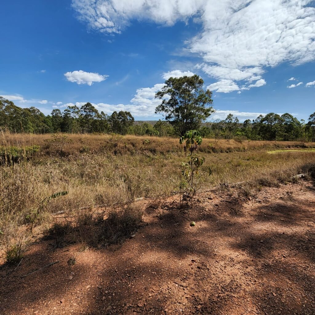 Fazenda 100ha- Rio – Casa Sede – 13km de Alto Paraíso e 1km de Terra
