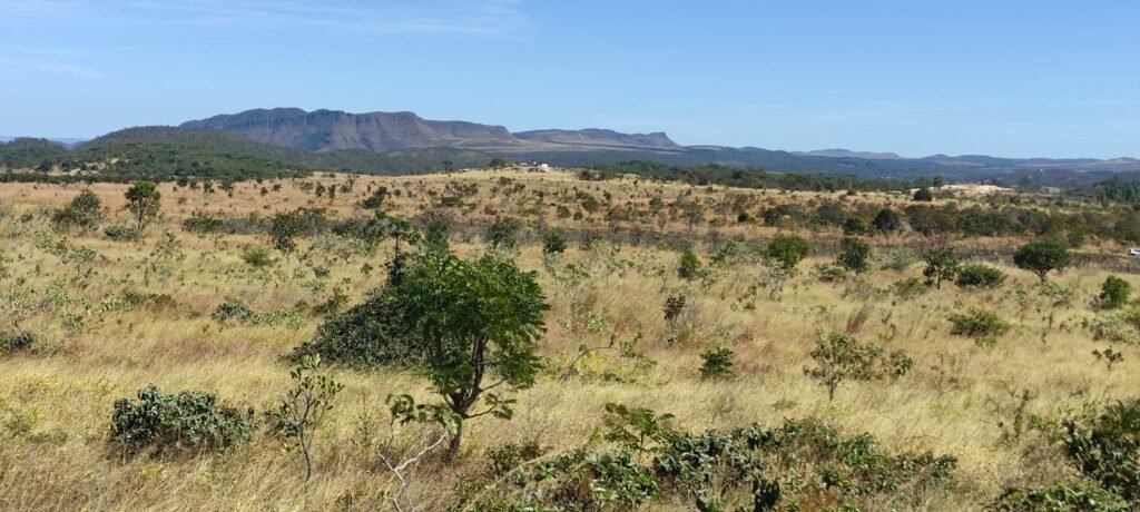 Chácara 5ha – na  Fazenda São Bento – entre Alto Paraíso e São Jorge