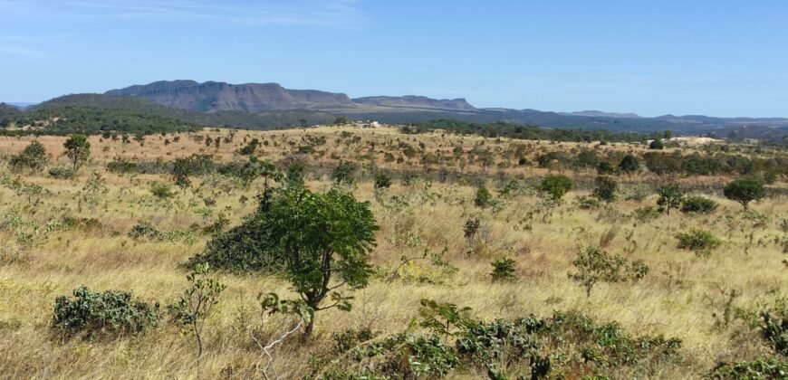 Chácara 5ha – na  Fazenda São Bento – entre Alto Paraíso e São Jorge