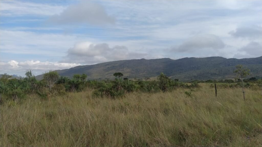 Chácara 4 ha – 5 km de Alto Paraíso sentido Cachoeira dos Cristais