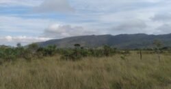 Chácara 4 ha – 5 km de Alto Paraíso sentido Cachoeira dos Cristais