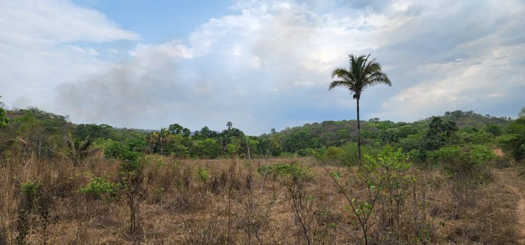 Chácara 11ha Beira Rio São Miguel – 17km de São Jorge – Chapada dos Veadeiros