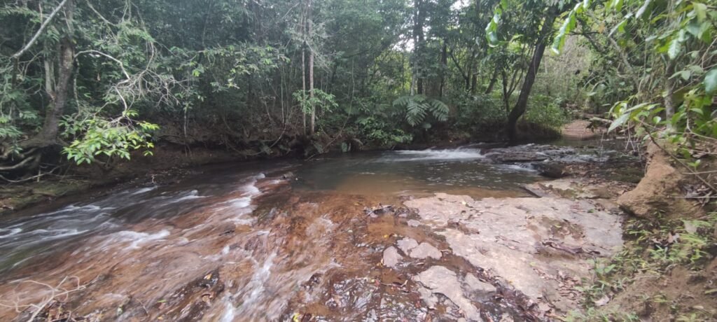 Maravilhosa Chácara 20ha – Recifra – Alto Paraíso de Goiás