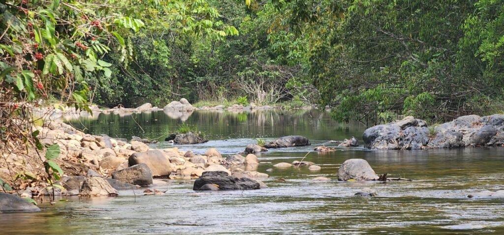 Chácara 11ha Beira Rio São Miguel – 17km de São Jorge – Chapada dos Veadeiros