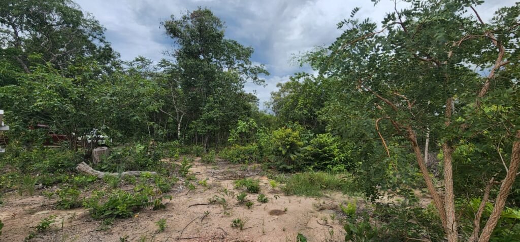 Fazenda 76 ha – Cachoeira – 12km Teresina de Goiás – Chapada dos Veadeiros