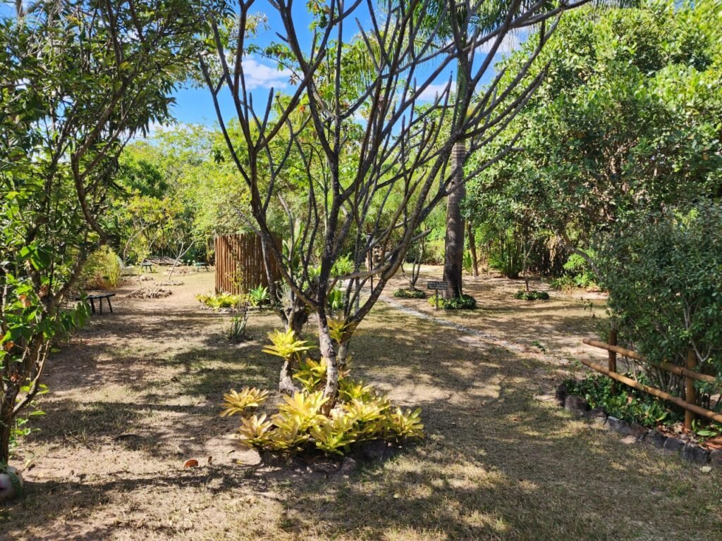 Oportunidade Exclusiva! Pousada à Venda em Cavalcante – Lote 2.000 m2 – Chapada dos Veadeiros