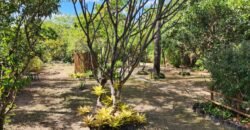 Oportunidade Exclusiva! Pousada à Venda em Cavalcante – Lote 2.000 m2 – Chapada dos Veadeiros Oportunidade Exclusiva! Pousada à Venda em Cavalcante – Lote 2.000 m2 – Chapada dos Veadeiros