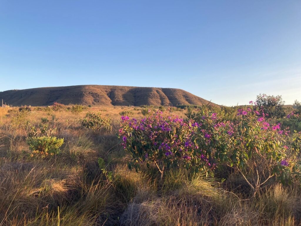 Chácara 4ha – Vale Verde – Próximo à Pousada Inácia – Alto Paraíso de Goiás