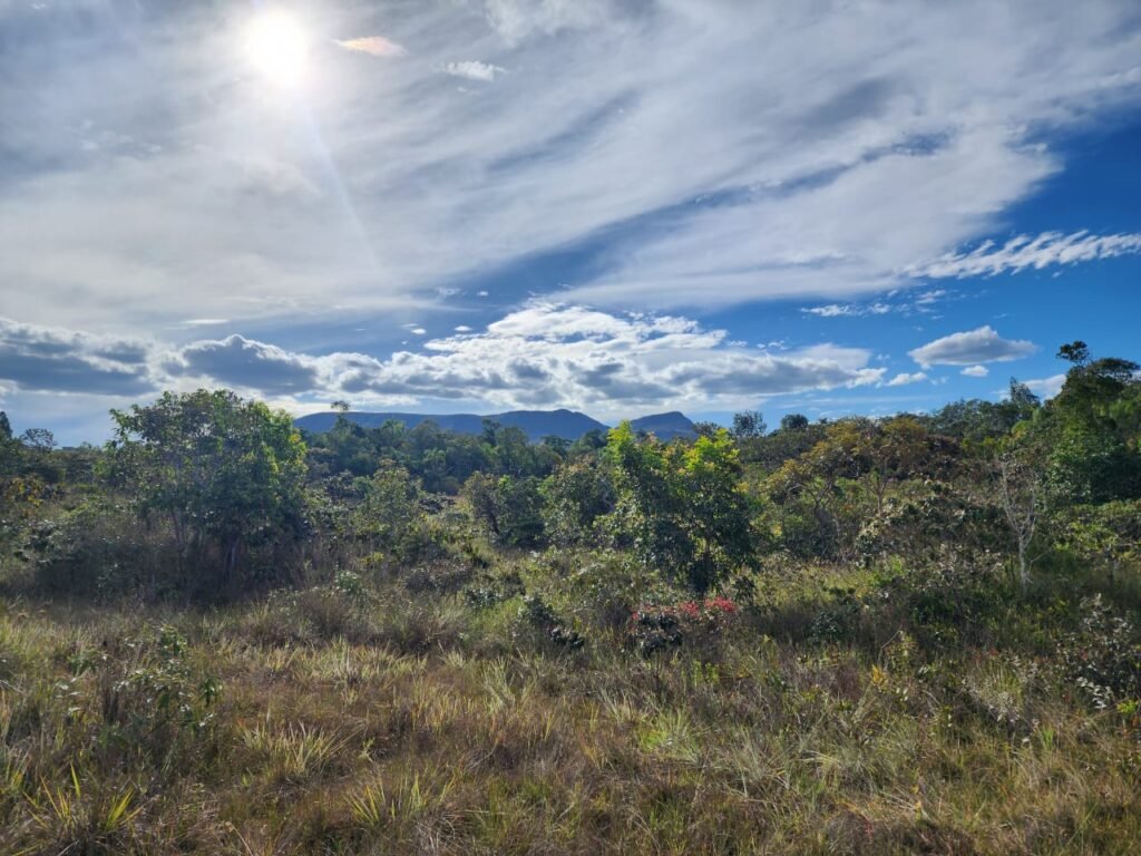 Chácara 5,30ha – Rio – Morro da Baleia – 13 km de Alto Paraíso de Goiás sentido São Jorge
