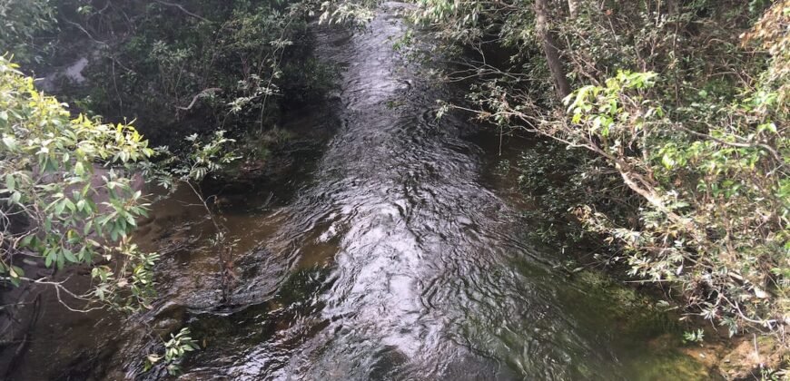 Chácara 4ha – Porteira Fechada – Linda Casa – km 12 – entre Alto Paraíso e São Jorge