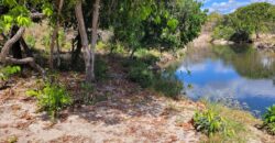 Chácara 4ha com Rio – 6km de Terezina de Goiás – Chapada dos Veadeiros