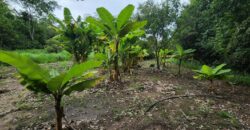 Fazenda 76 ha – Cachoeira – 12km Teresina de Goiás – Chapada dos Veadeiros