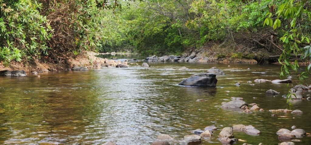 Chácara 11ha Beira Rio São Miguel – 17km de São Jorge – Chapada dos Veadeiros