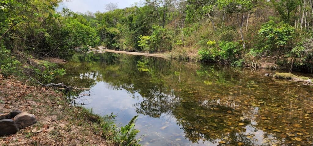 Chácara 11ha Beira Rio São Miguel – 17km de São Jorge – Chapada dos Veadeiros