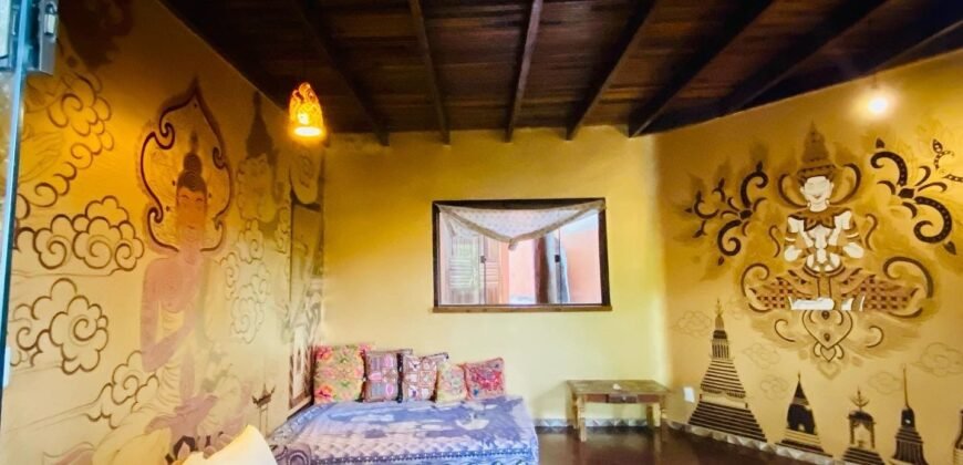 Pousada – Rio – Poço para Banho – Moinho – 4.000m2 – 12km de Alto Paraíso de Goiás