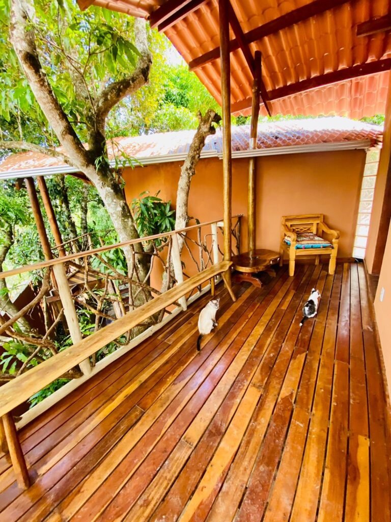 Pousada – Rio – Poço para Banho – Moinho – 4.000m2 – 12km de Alto Paraíso de Goiás