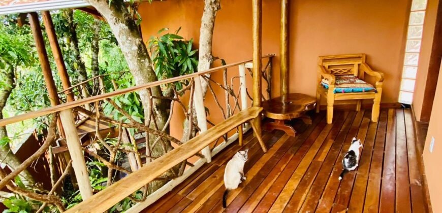 Pousada – Rio – Poço para Banho – Moinho – 4.000m2 – 12km de Alto Paraíso de Goiás