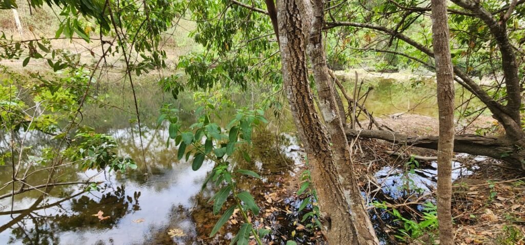 Chácara 11ha Beira Rio São Miguel – 17km de São Jorge – Chapada dos Veadeiros