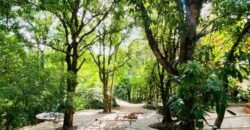 Pousada – Rio – Poço para Banho – Moinho – 4.000m2 – 12km de Alto Paraíso de Goiás Pousada – Rio – Poço para Banho – Moinho – 4.000m2 – 12km de Alto Paraíso de Goiás