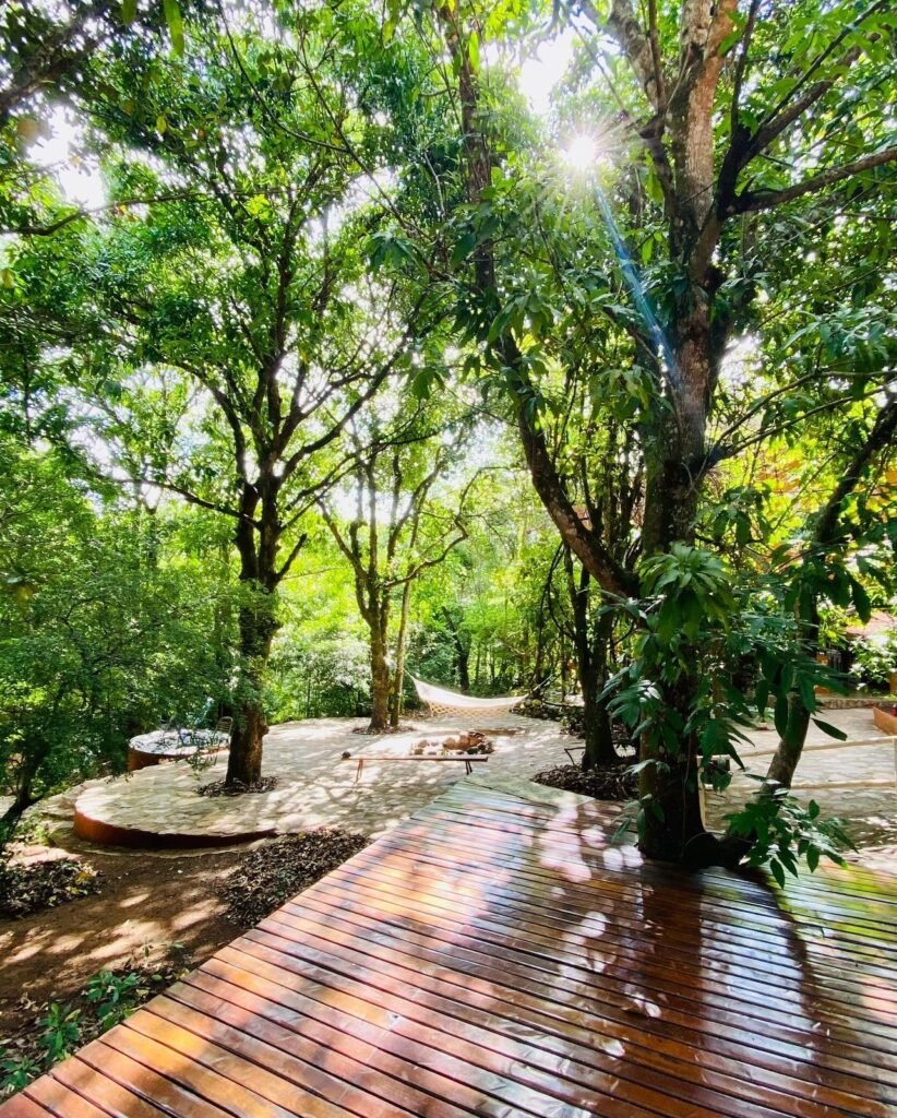 Pousada – Rio – Poço para Banho – Moinho – 4.000m2 – 12km de Alto Paraíso de Goiás