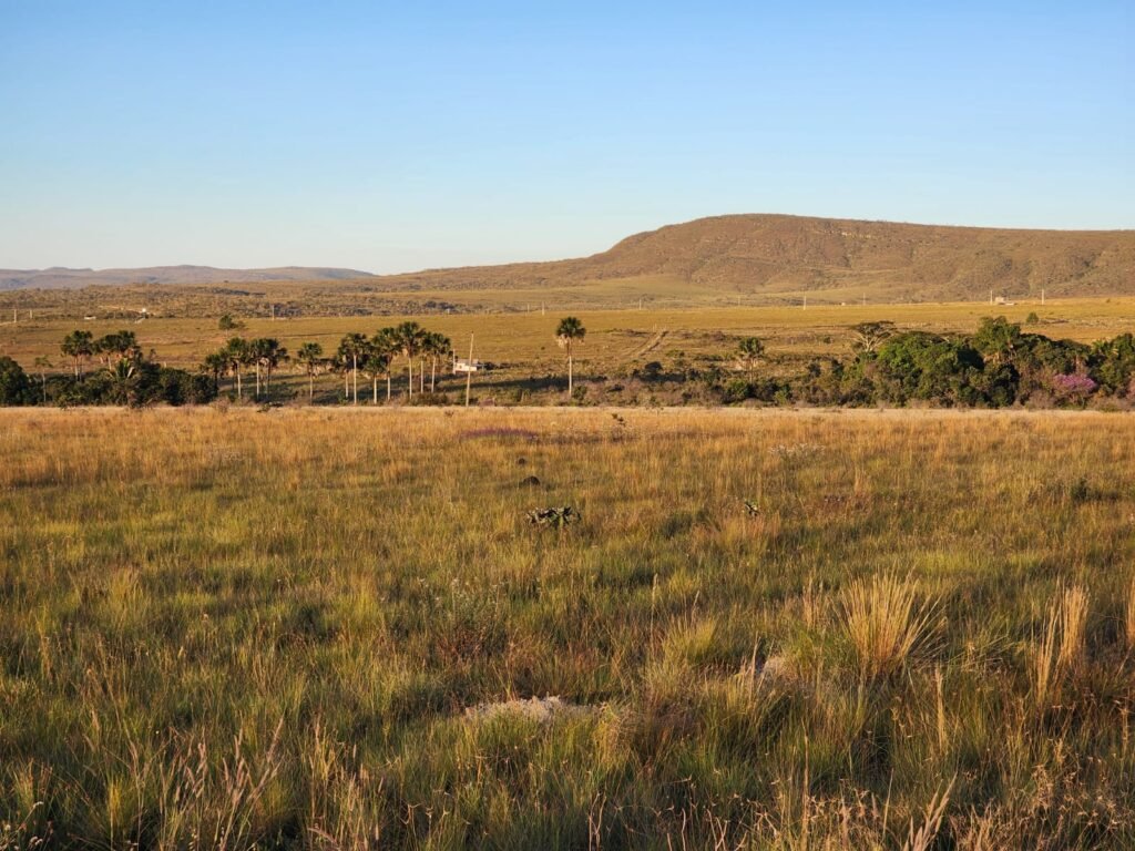 Chácara 8 ha – Porteira Fechada – Vale Verde – Sentido Pousada Inácia, Aldeia Multiétnica – Alto Paraíso de Goiás