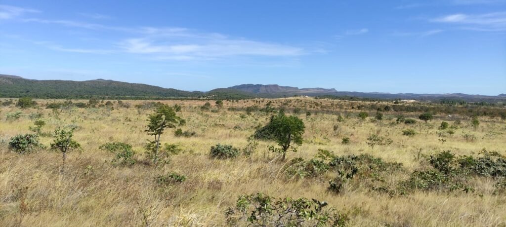 Chácara 5ha – na  Fazenda São Bento – entre Alto Paraíso e São Jorge