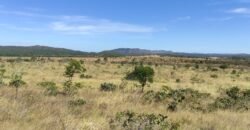 Chácara 5ha – na  Fazenda São Bento – entre Alto Paraíso e São Jorge