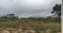 Chácara 4 ha – 5 km de Alto Paraíso sentido Cachoeira dos Cristais