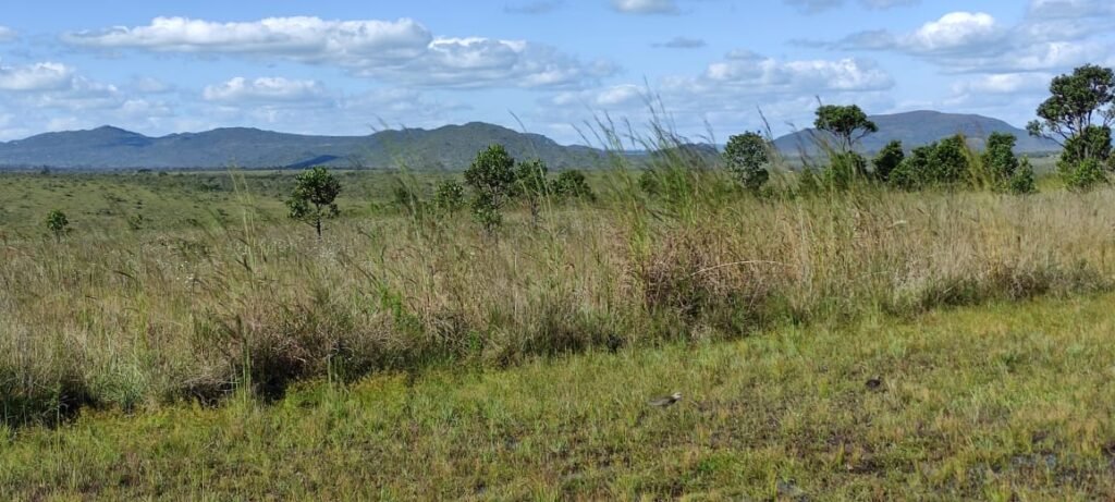 Pousada no Morro da Baleia – Alto Paraíso de Goiás – Chapada dos Veadeiros
