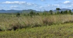 Pousada no Morro da Baleia – Alto Paraíso de Goiás – Chapada dos Veadeiros Pousada no Morro da Baleia – Alto Paraíso de Goiás – Chapada dos Veadeiros