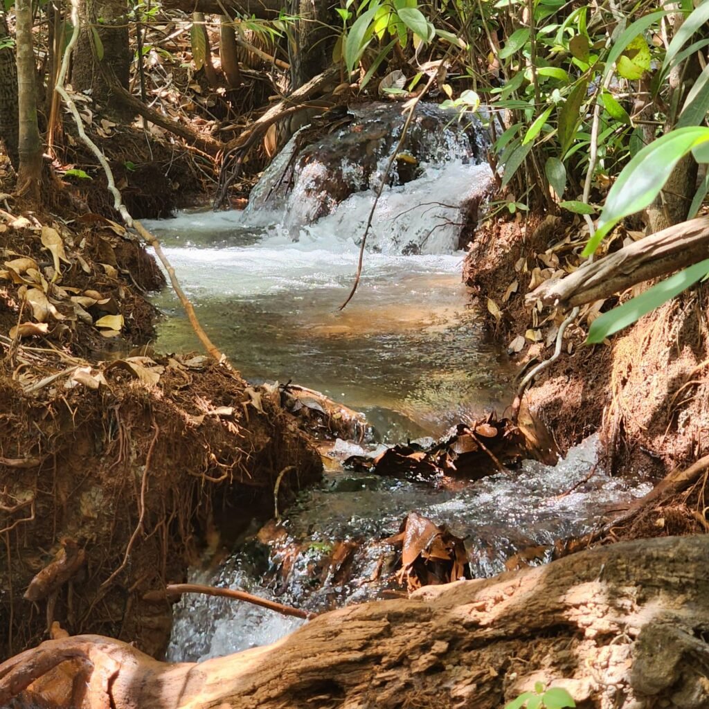 Fazenda 100ha- Rio – Casa Sede – 13km de Alto Paraíso e 1km de Terra