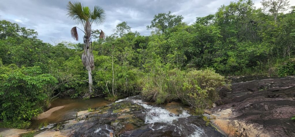 Fazenda 76 ha – Cachoeira – 12km Teresina de Goiás – Chapada dos Veadeiros
