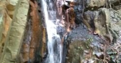 Fazenda 20 alqueires – Cachoeira – Próximo a Cachoeira Poço Encantado – Casa Sede – Nascente – Piscina aquecida – Alto Paraíso de Goiás Fazenda 20 alqueires – Cachoeira – Próximo a Cachoeira Poço Encantado – Casa Sede – Nascente – Piscina aquecida – Alto Paraíso de Goiás